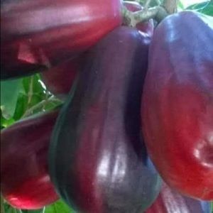 Meet your Posher, Garfield